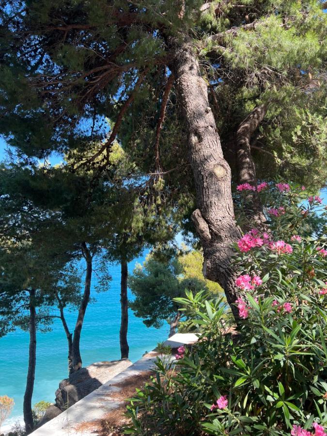 Sunny Breeze Apartment Vlorë Exteriér fotografie